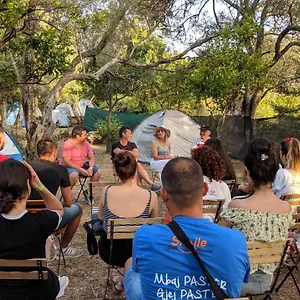 The Sea Turtle Camp Kemp