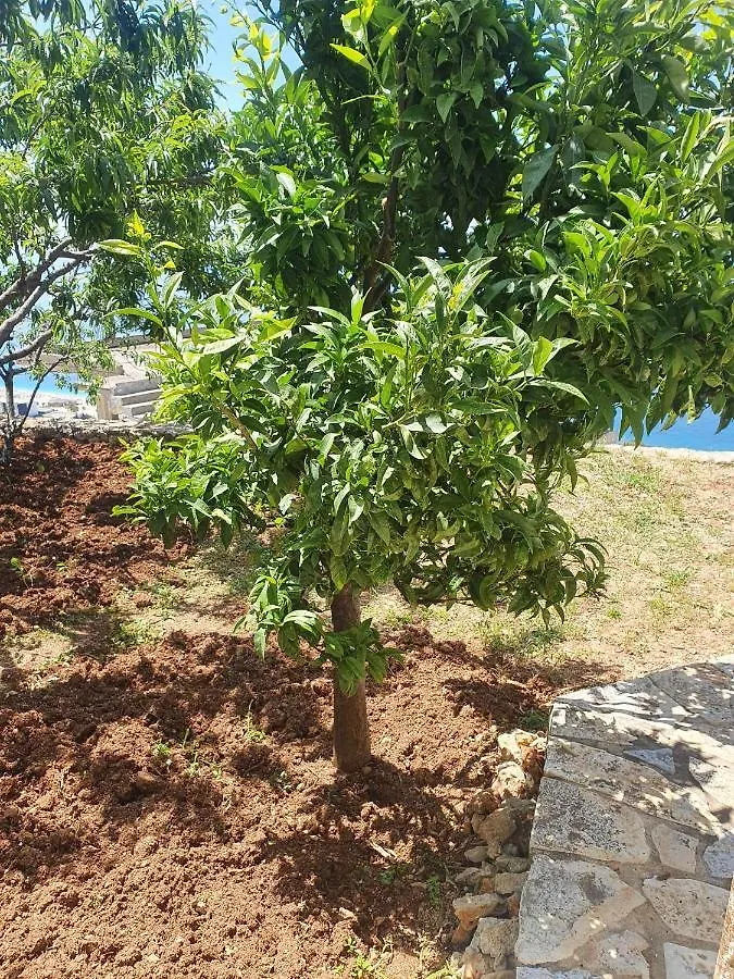 Endless Blue Apartments Dhermi